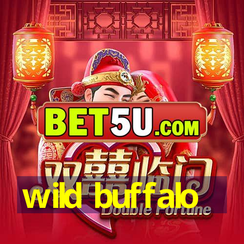 wild buffalo